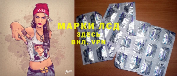 твердый Майский