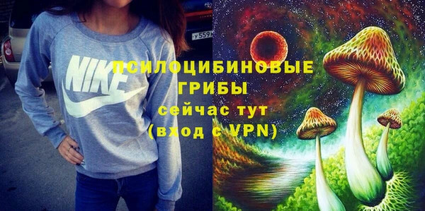 твердый Майский