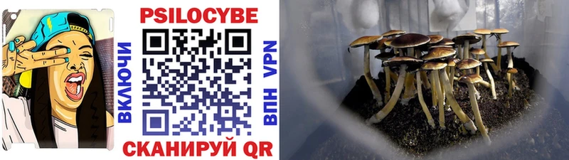 Псилоцибиновые грибы Cubensis  Удачный 